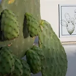 Livantea Agriresort E Otranto