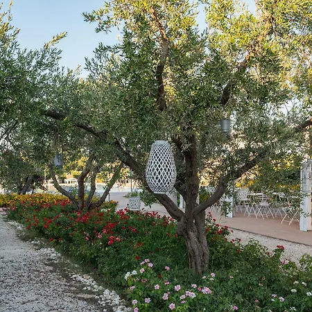 Livantea Agriresort E