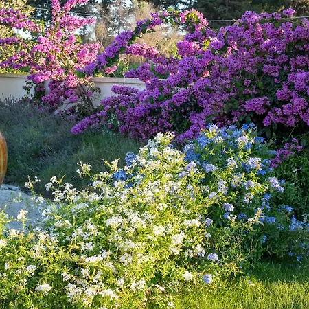 Livantea Agriresort E *